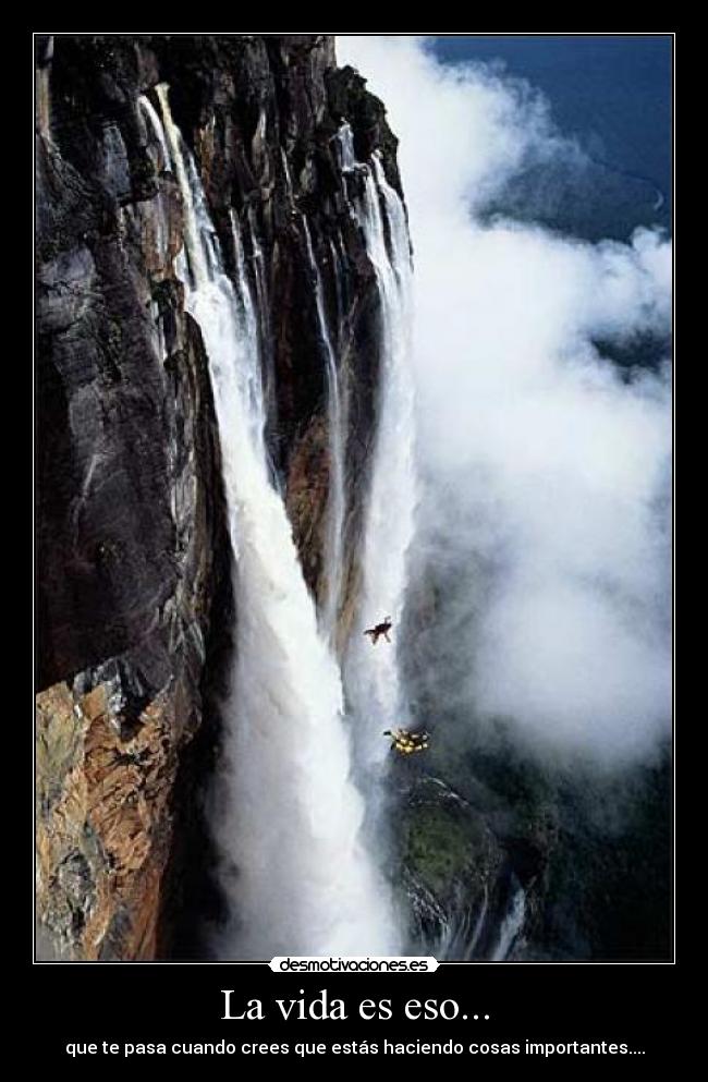 La vida es eso... - que te pasa cuando crees que estás haciendo cosas importantes....
