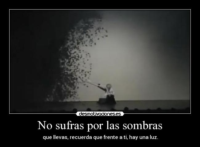 carteles sombras desmotivaciones