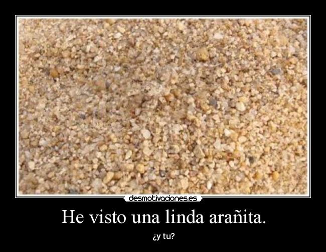 He visto una linda arañita. - ¿y tu?