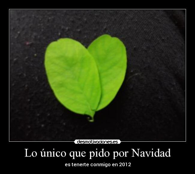 carteles navidad sarita loves desmotivaciones