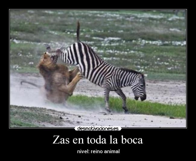 Zas en toda la boca - nivel: reino animal