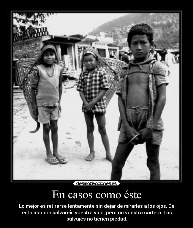 En casos como éste - Lo mejor es retirarse lentamente sin dejar de mirarles a los ojos. De
esta manera salvaréis vuestra vida, pero no vuestra cartera. Los
salvajes no tienen piedad.