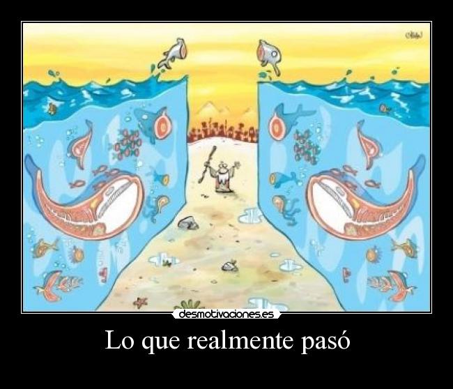 Lo que realmente pasó -