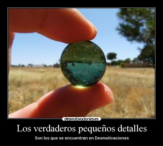 Los verdaderos pequeños detalles -