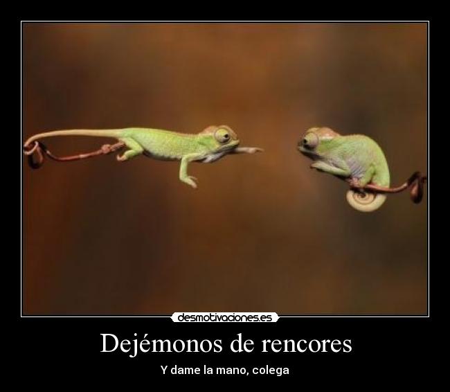 Dejémonos de rencores -