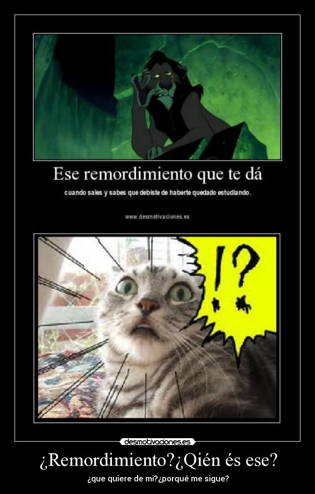 ¿Remordimiento?¿Qién és ese? - ¿que quiere de mi?¿porqué me sigue?