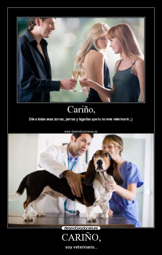 CARIÑO, - soy veterinario...