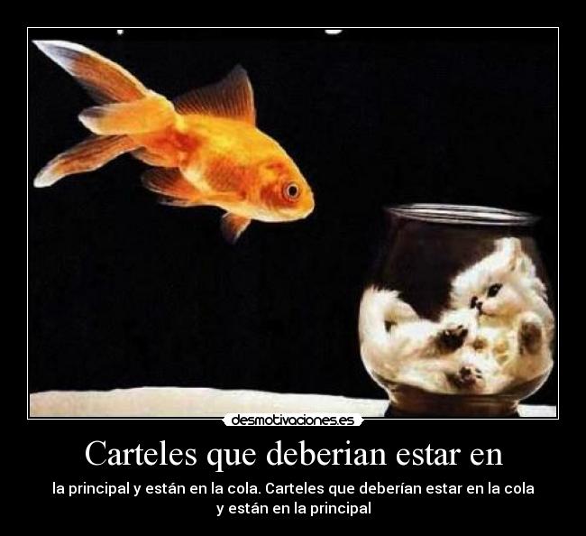 Carteles que deberian estar en - la principal y están en la cola. Carteles que deberían estar en la cola
y están en la principal