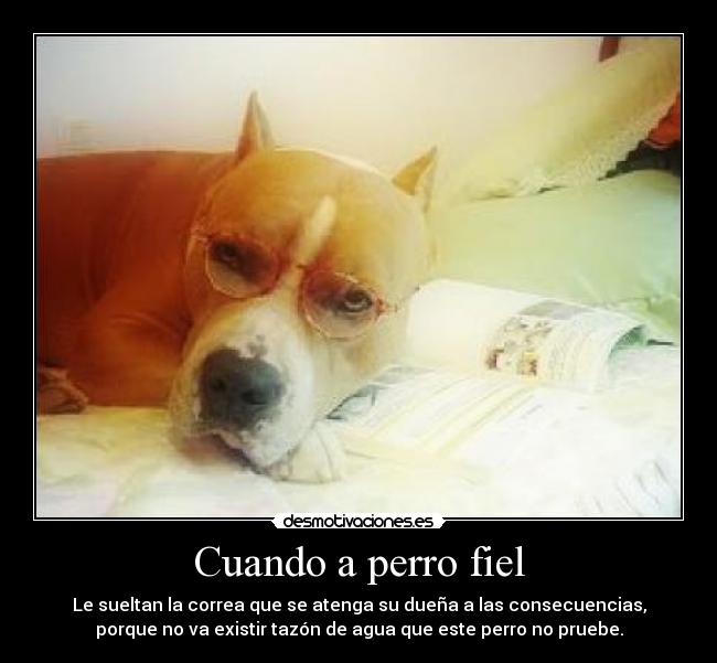 Cuando a perro fiel - Le sueltan la correa que se atenga su dueña a las consecuencias,
porque no va existir tazón de agua que este perro no pruebe.