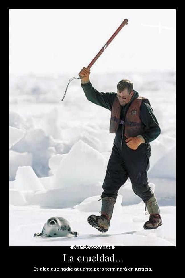 La crueldad... -
