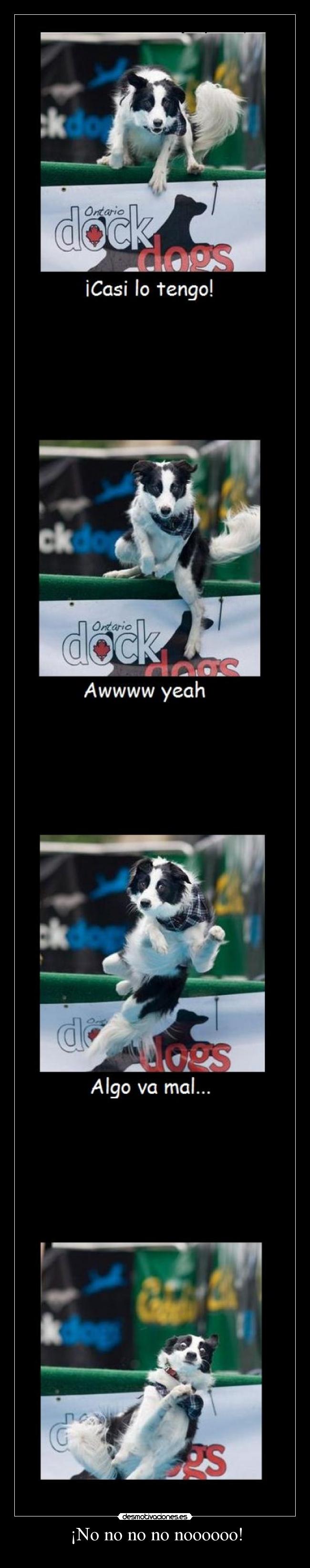 carteles jaajja perrito ekivoco down dios hhahaha llamemos intruders para ayude perrito desmotivaciones