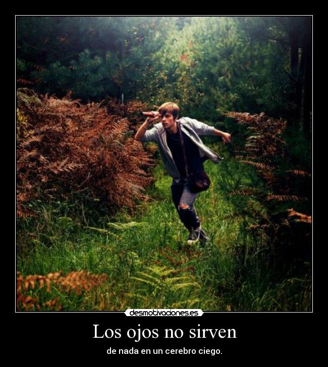 Los ojos no sirven - de nada en un cerebro ciego.