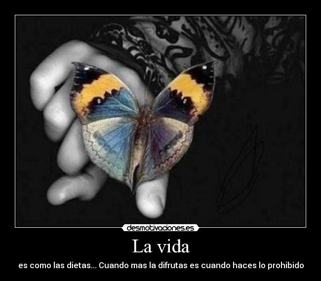 carteles vida tamara1695 desmotivaciones