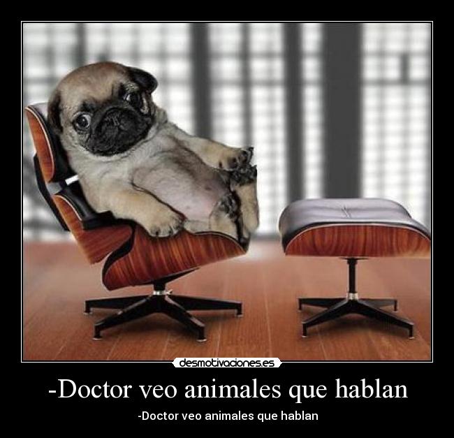 -Doctor veo animales que hablan - -Doctor veo animales que hablan