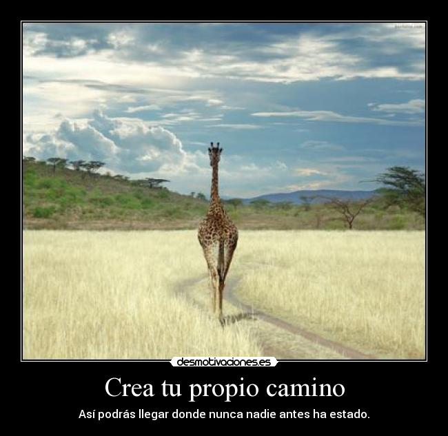 Crea tu propio camino -