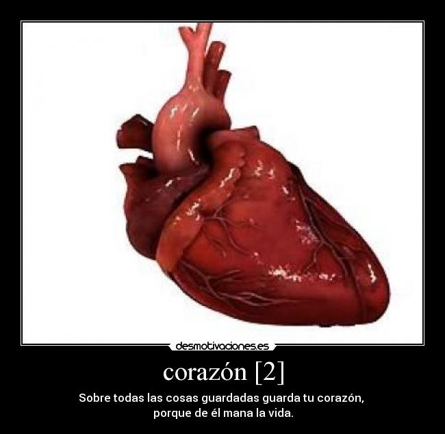 corazón [2] - Sobre todas las cosas guardadas guarda tu corazón, 
porque de él mana la vida.