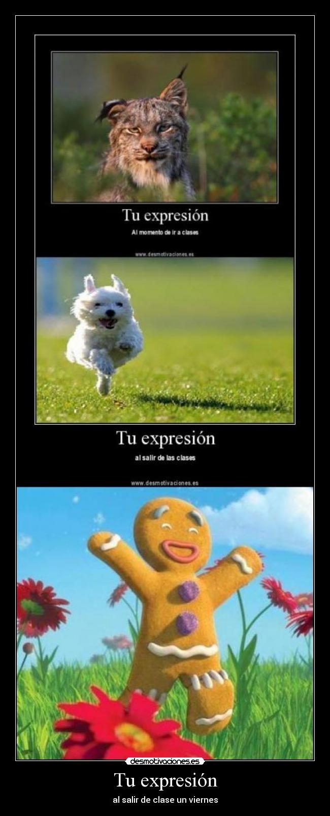 Tu expresión - al salir de clase un viernes