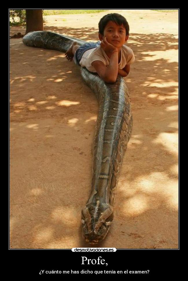 carteles pwned desmotivaciones