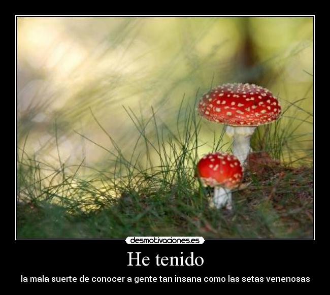 He tenido -