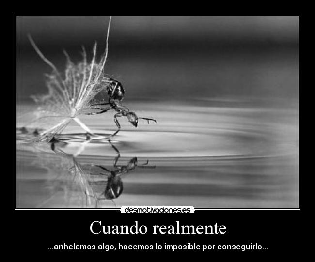 carteles dreadk soy padre cuuffff caaaffff cuuuffff caffffff feel like darth vader desmotivaciones