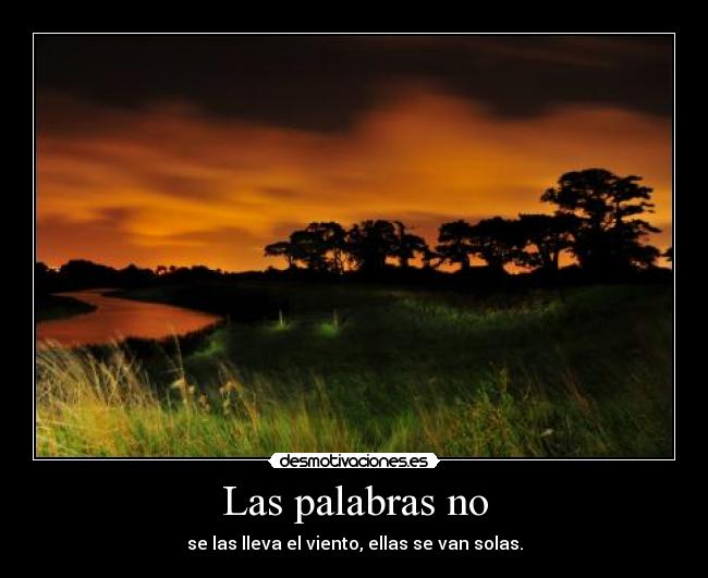 carteles las palabras son inutiles cuando corazon dice mas que eso ariadnap desmotivaciones