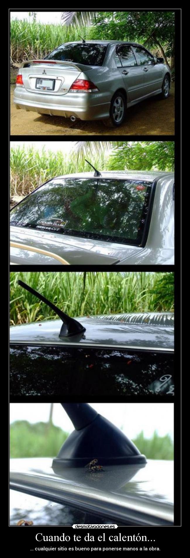 Cuando te da el calentón... - ... cualquier sitio es bueno para ponerse manos a la obra.