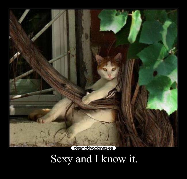 Sexy and I know it. - 