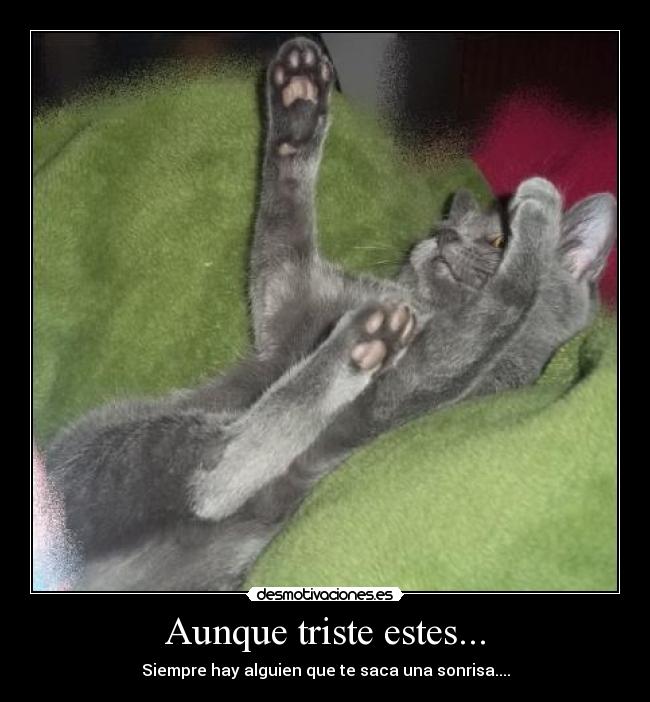 Aunque triste estes... - Siempre hay alguien que te saca una sonrisa....