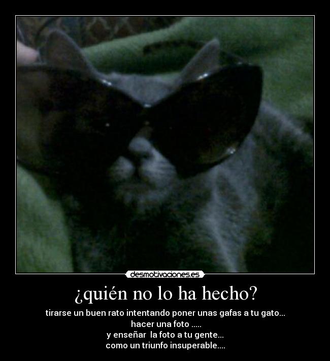 carteles gatosmascota gafas desmotivaciones