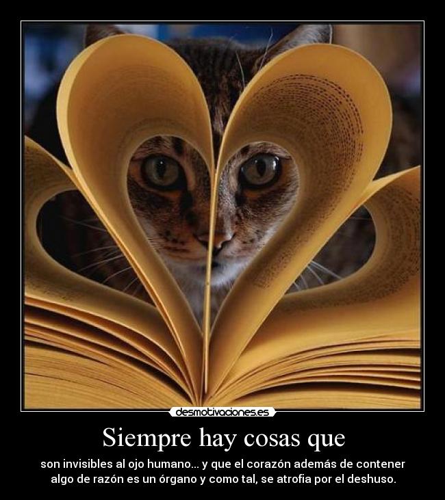 Siempre hay cosas que - 