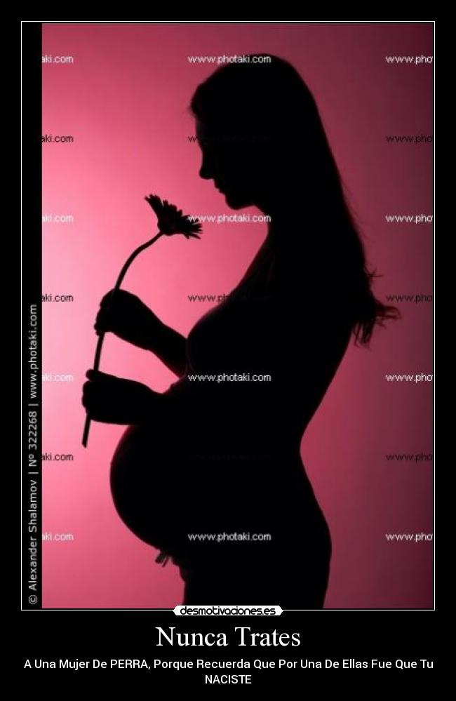 Nunca Trates - A Una Mujer De PERRA, Porque Recuerda Que Por Una De Ellas Fue Que Tu
NACISTE