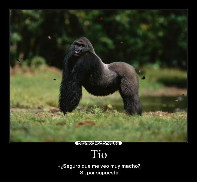 carteles ftw desmotivaciones