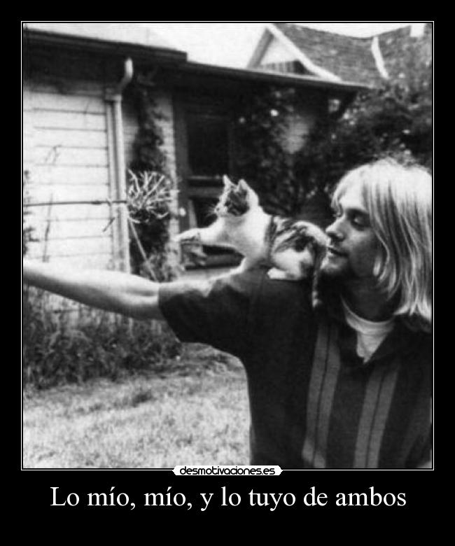 carteles mio mio tuyo ambos coocktail gambas namine12 burro muerto cebada rabo desmotivaciones