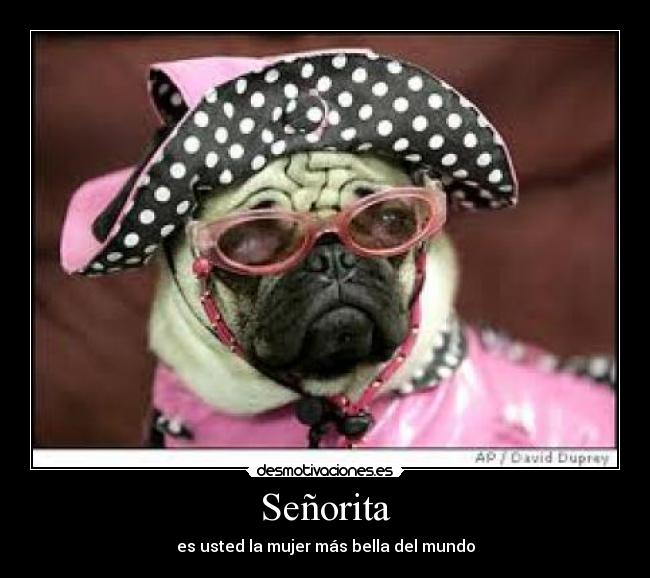 Señorita - es usted la mujer más bella del mundo