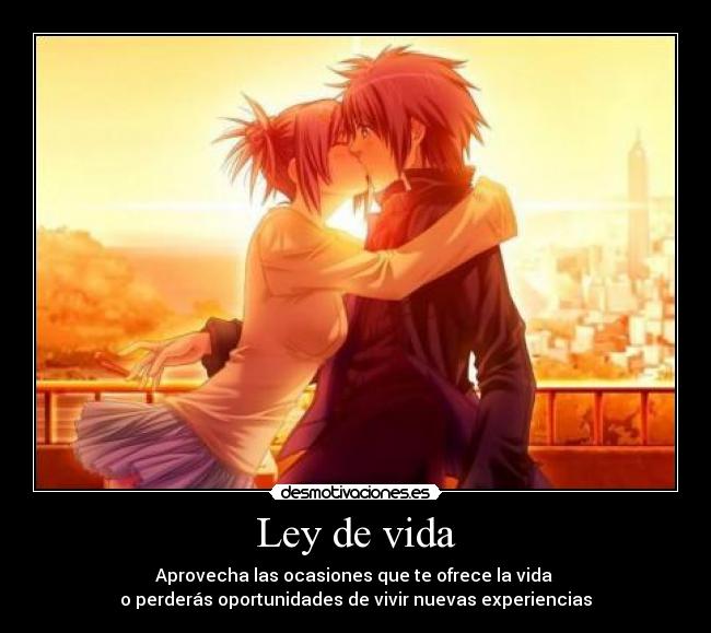 Ley de vida -