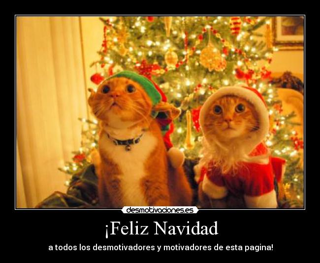 ¡Feliz Navidad -