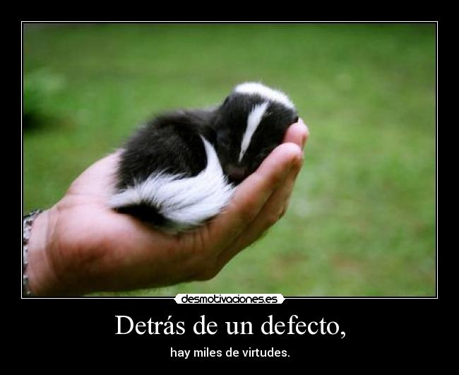 Detrás de un defecto, - hay miles de virtudes.