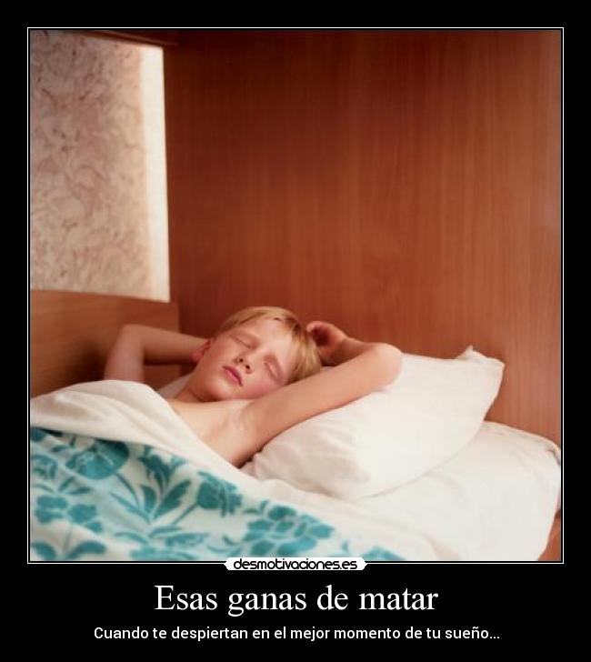 carteles risa comico desmotivaciones