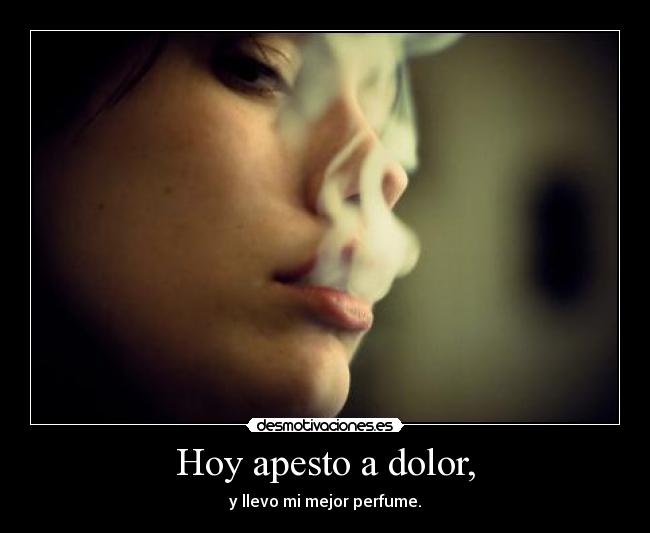 carteles dolor ilusion murio camino igual que alma ariadnap desmotivaciones