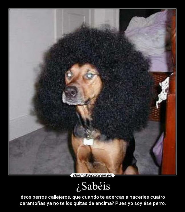 ¿Sabéis - 