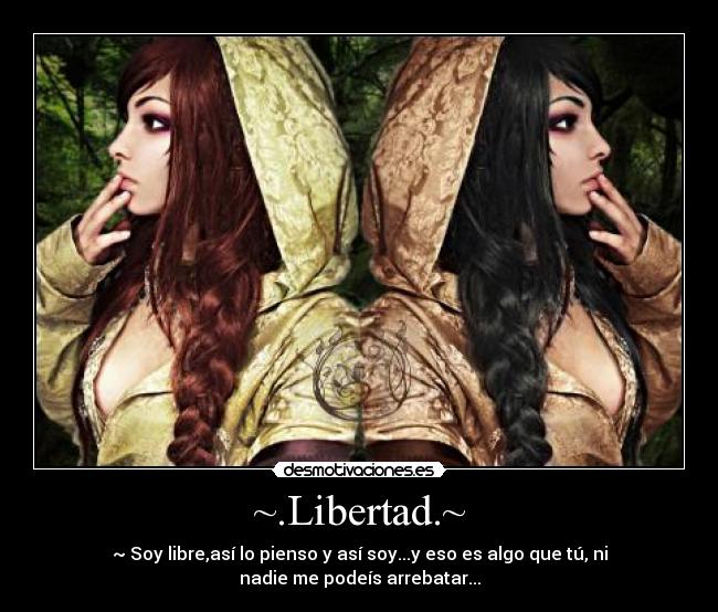 carteles libertad libertad anhelada desmotivaciones