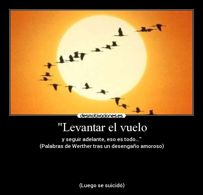 Levantar el vuelo - y seguir adelante, eso es todo...
(Palabras de Werther tras un desengaño amoroso)





(Luego se suicidó)