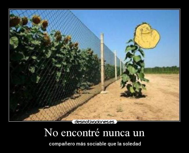 No encontré nunca un - compañero más sociable que la soledad
