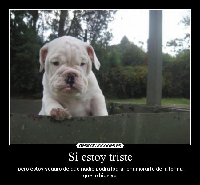 Si estoy triste - pero estoy seguro de que nadie podrá lograr enamorarte de la forma que lo hice yo.