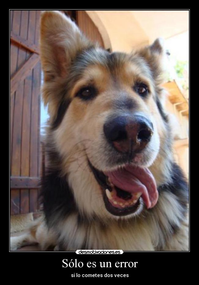 Sólo es un error - 