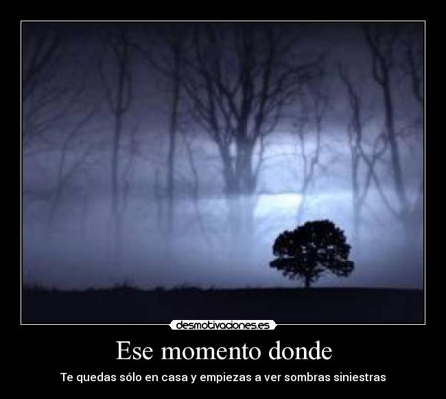 Ese momento donde - 