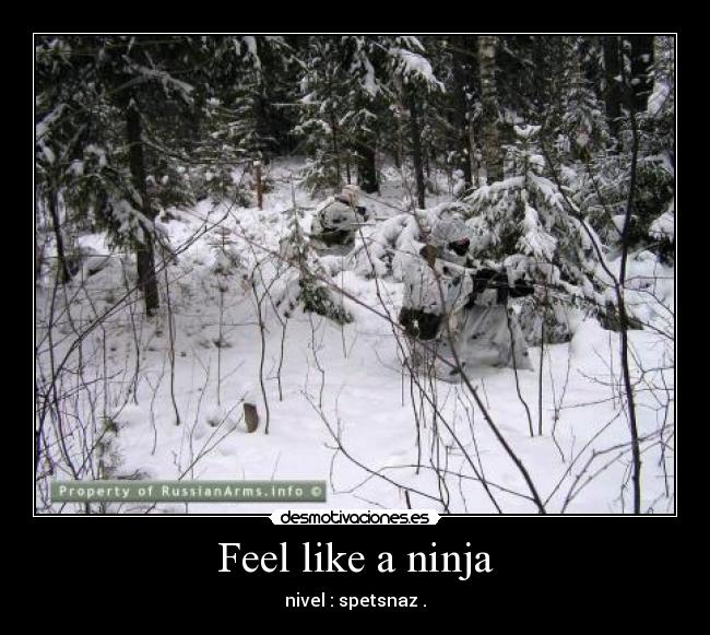 Feel like a ninja -