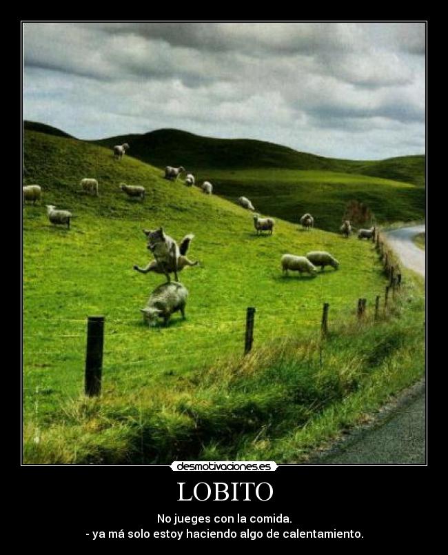 LOBITO - No jueges con la comida.
- ya má solo estoy haciendo algo de calentamiento.