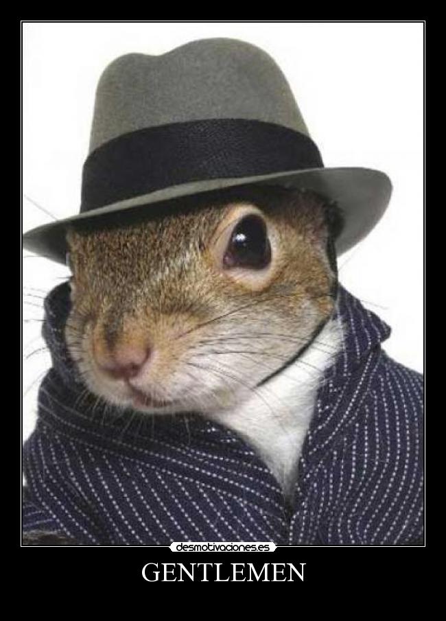 carteles las ardillas molan desmotivaciones