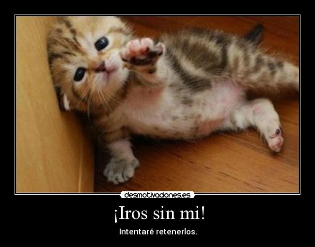 ¡Iros sin mi! -